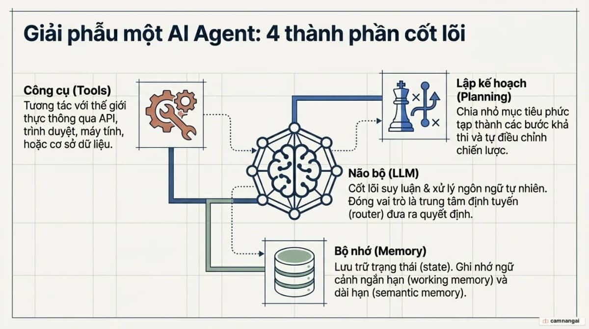 Bốn thành phần của một AI Agent: não bộ (LLM), lập kế hoạch, bộ nhớ và công cụ