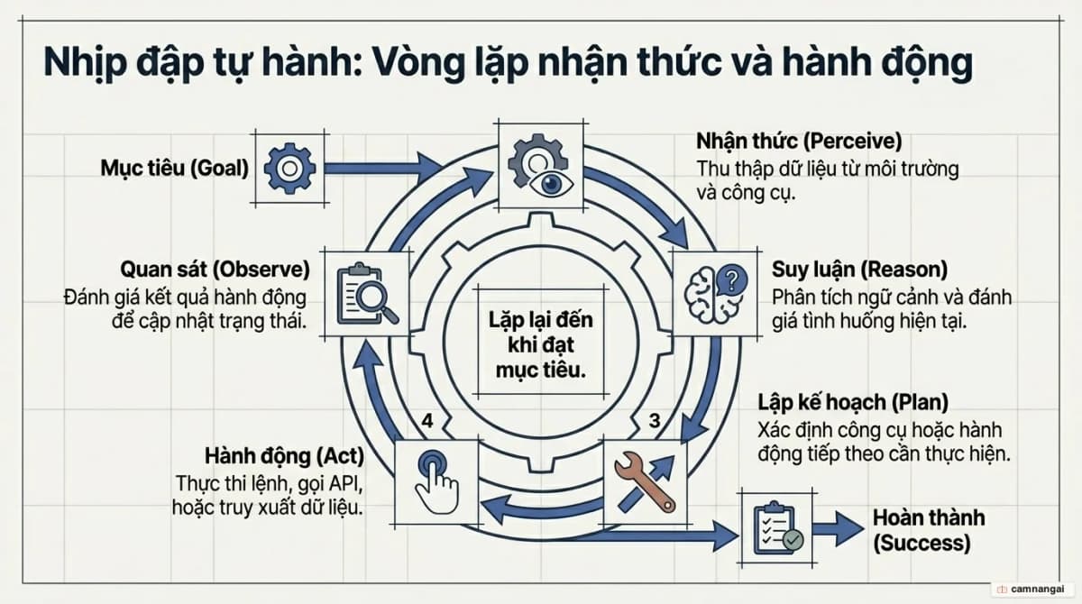 Vòng lặp hoạt động của AI Agent: nhận thức, suy luận, lập kế hoạch, hành động và quan sát, lặp lại đến khi đạt mục tiêu