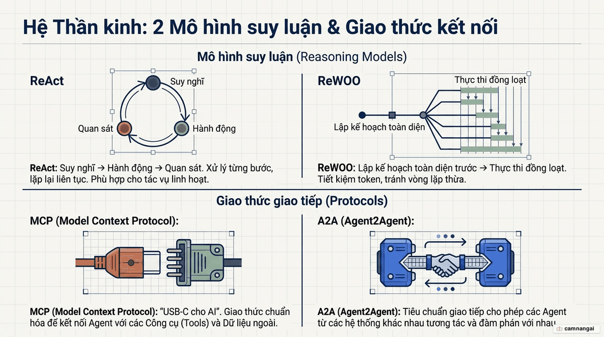 Hai mẫu suy luận ReAct và ReWOO cùng các giao thức kết nối MCP và A2A