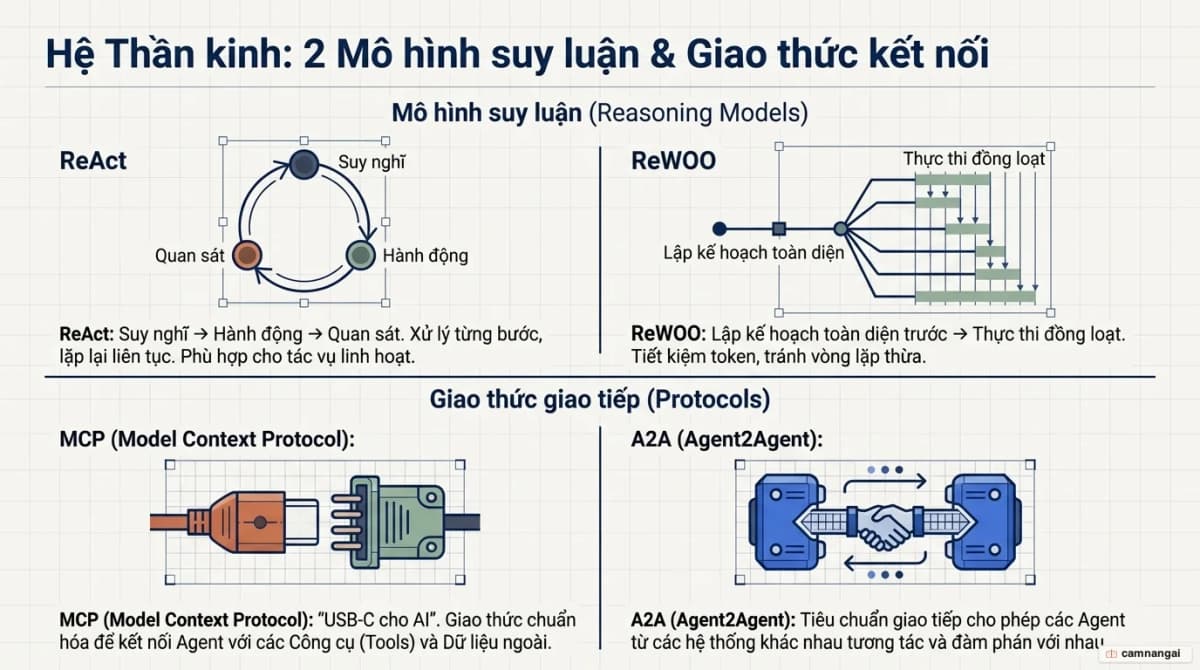 Hai mẫu suy luận ReAct và ReWOO cùng các giao thức kết nối MCP và A2A