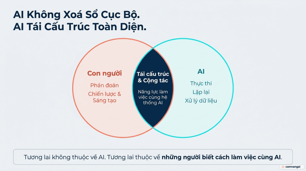 Minh hoạ chủ đề: trí tuệ nhân tạo đang tái cấu trúc thị trường lao động, con người và AI cùng làm việc thay vì bị thay thế hoàn toàn