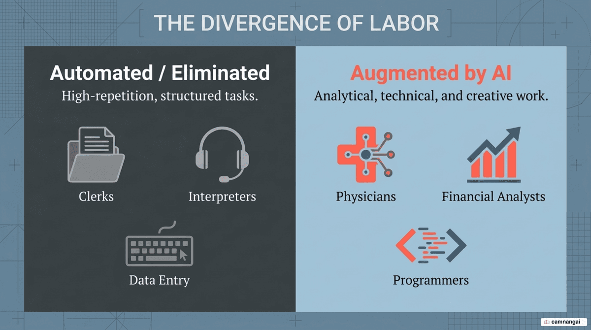 Two groups of jobs facing AI: automated roles such as clerks, interpreters and data-entry workers versus AI-augmented roles such as physicians, financial analysts and programmers