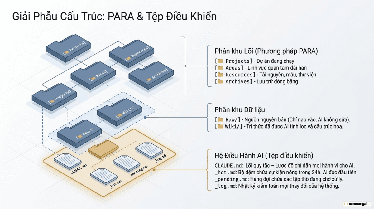 Giải phẫu kho tri thức: thư mục Raw và Wiki cùng các tệp điều khiển theo cấu trúc PARA