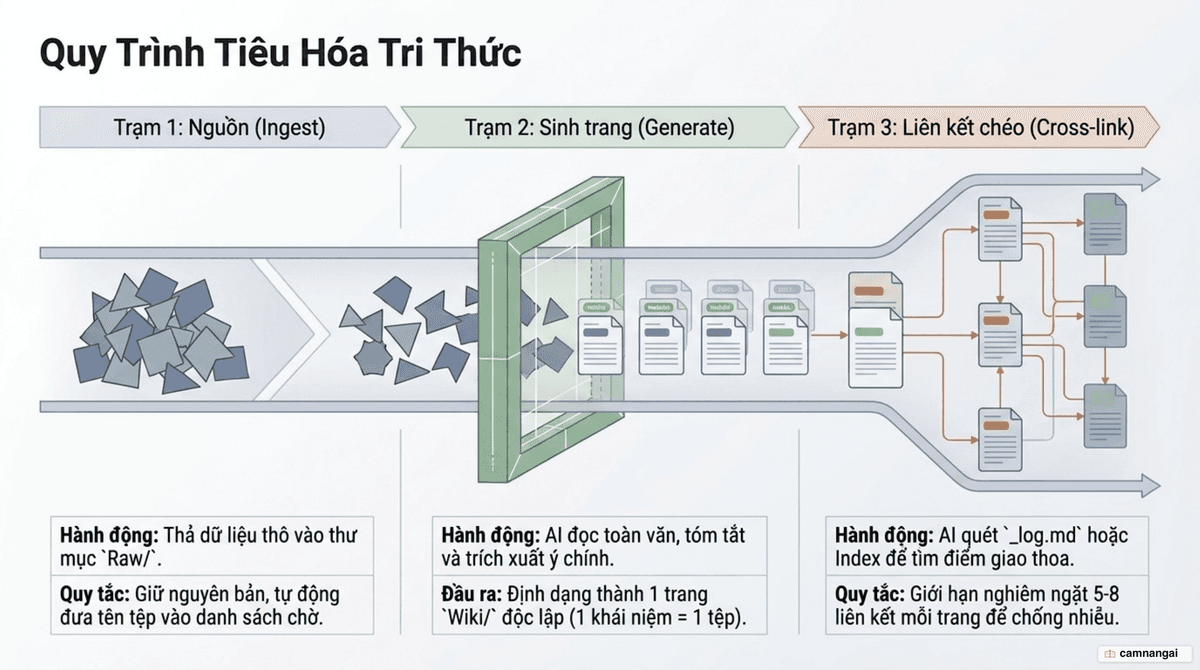 Quy trình đưa tri thức vào: thu thập, sinh trang và liên kết chéo