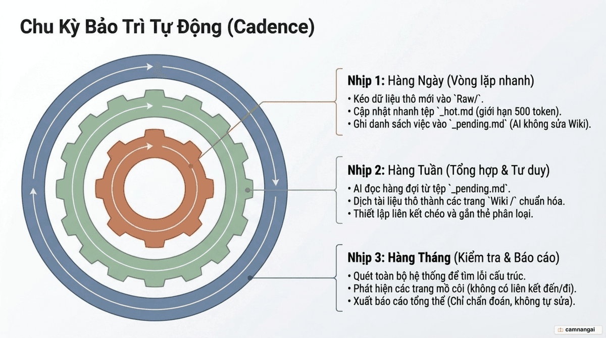 Chu kỳ bảo trì ba nhịp: thu thập hàng ngày, biên soạn hàng tuần, rà soát hàng tháng