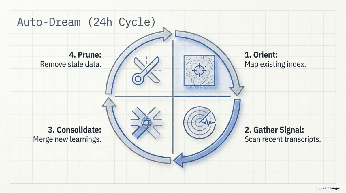 The four-phase auto-dream maintenance cycle that runs every 24 hours: Orient, Gather signal, Consolidate, then Prune, forming a loop that keeps memory concise.
