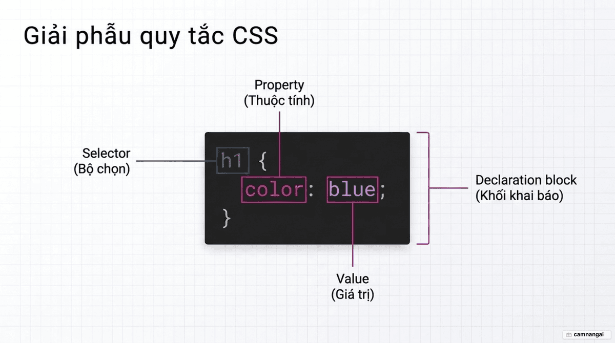 Cấu tạo một quy tắc CSS với các thành phần Selector, Declaration block, Property và Value được chú thích
