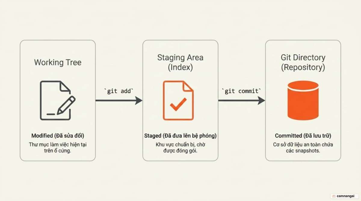 Dòng chảy của một tệp qua ba khu vực Working Tree, Staging Area và Git Directory, tương ứng ba trạng thái Modified, Staged và Committed