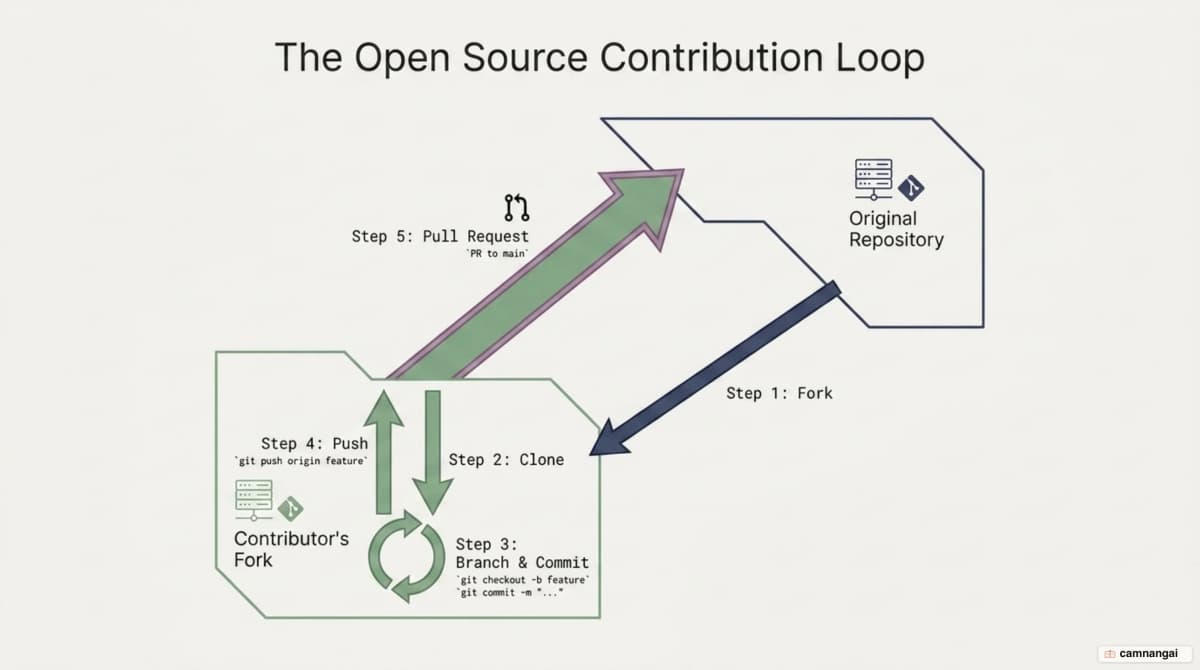The open source contribution loop: fork, clone, branch, commit, push, then pull request back