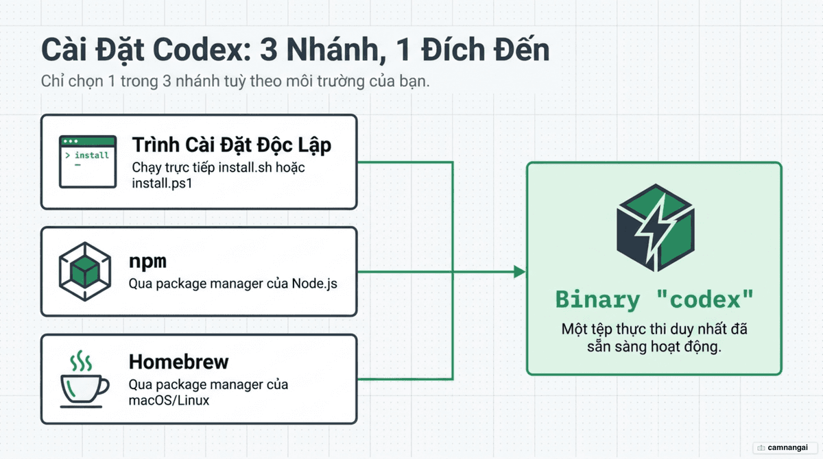 Ba cách cài đặt Codex — trình cài đặt độc lập, npm và Homebrew — cùng dẫn tới một binary duy nhất
