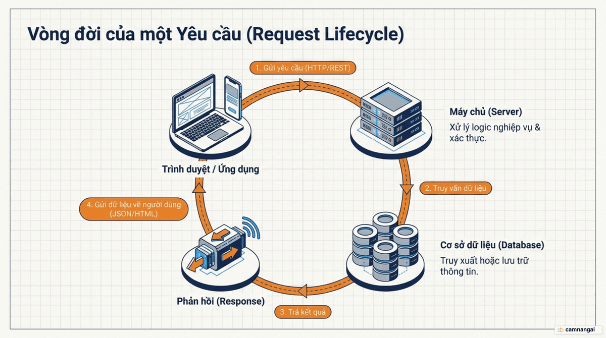 Đường đi của một yêu cầu: từ trình duyệt tới máy chủ, truy vấn cơ sở dữ liệu rồi trả phản hồi về trình duyệt