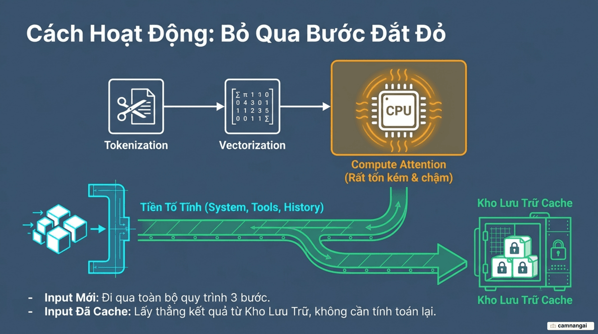 Sơ đồ ba bước xử lý prompt — Tokenization, Vectorization, Compute Attention — và vị trí cache lưu lại kết quả của phần tiền tố (prefix) tĩnh