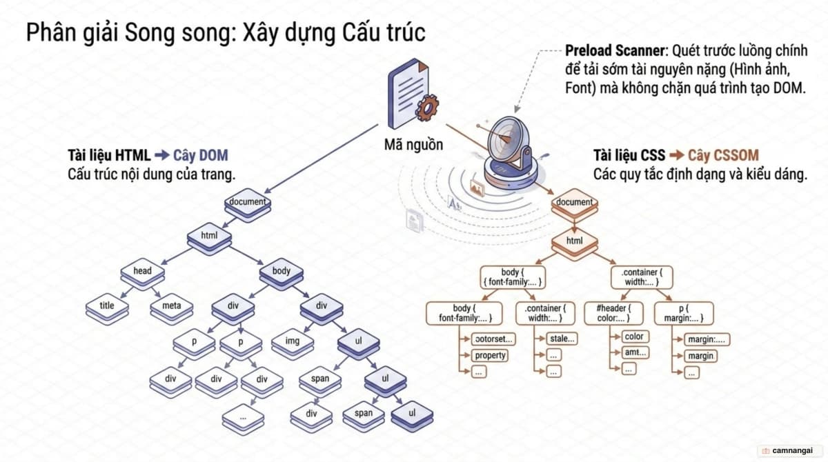Trình duyệt đọc HTML và CSS song song thành hai cây riêng biệt là DOM và CSSOM, trong khi preload scanner chạy trước để tải sớm tài nguyên ưu tiên