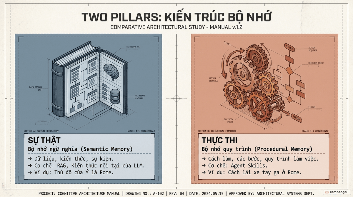 So sánh bộ nhớ ngữ nghĩa (lưu trữ sự thật) với bộ nhớ quy trình (lưu trữ các bước thực thi)
