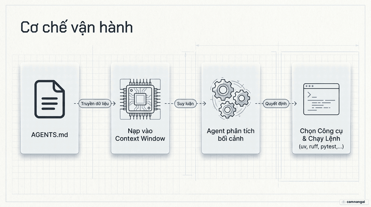 Sơ đồ cách coding agent nạp AGENTS.md vào context window và chọn đúng công cụ để chạy.
