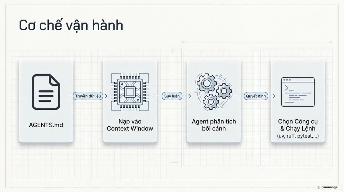 Sơ đồ cách coding agent nạp AGENTS.md vào context window và chọn đúng công cụ để chạy.