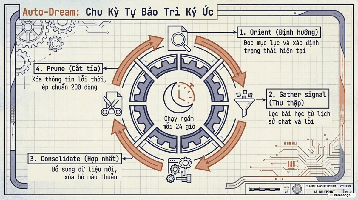 Chu kỳ tự bảo trì auto-dream bốn pha chạy ngầm mỗi 24 giờ: Orient, Gather signal, Consolidate rồi Prune, tạo thành vòng lặp giữ bộ nhớ luôn gọn.