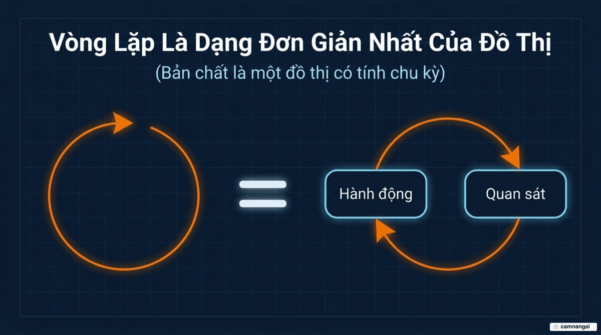 Một vòng lặp được vẽ lại thành đồ thị có chu kỳ, cho thấy loop chỉ là dạng đơn giản nhất của đồ thị
