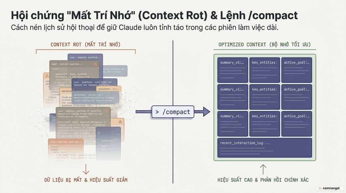 Ngữ cảnh dài khiến Claude "quên" và mắc lỗi (context rot), còn lệnh /compact nén lịch sử hội thoại để giữ AI tỉnh táo.