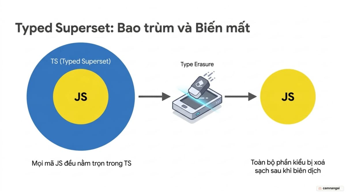 Mọi mã JavaScript đều nằm gọn trong TypeScript, và toàn bộ phần kiểu bị xoá sạch sau khi biên dịch