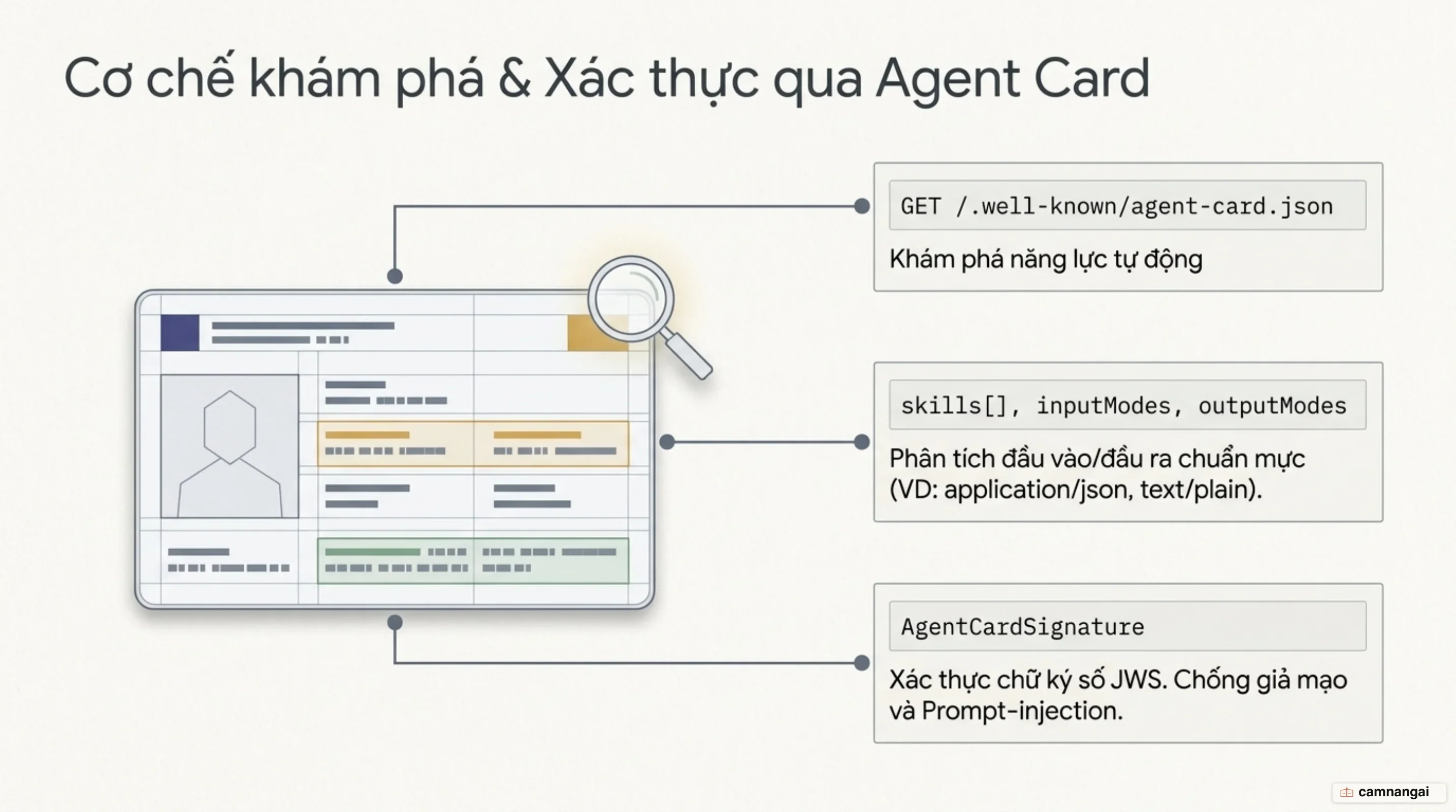 Quy trình khám phá năng lực và xác thực chữ ký số Agent Card trong A2A