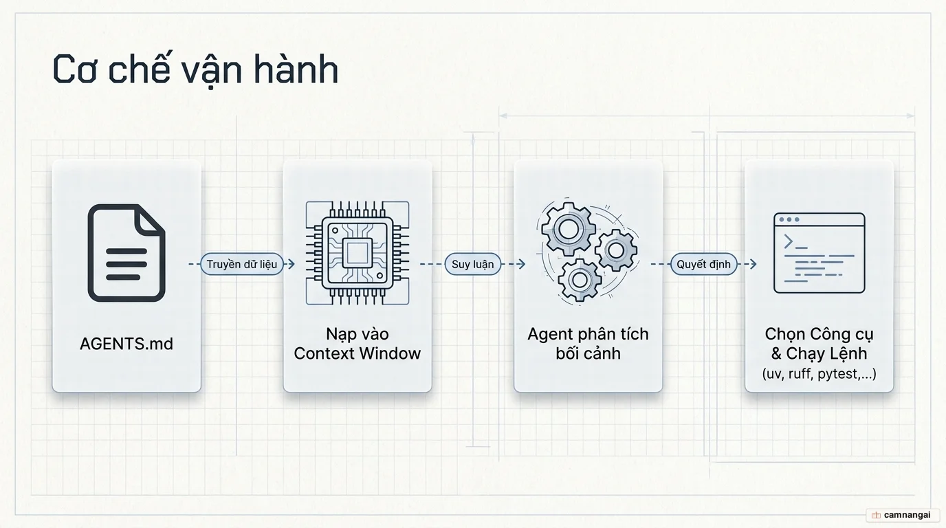 Sơ đồ cách coding agent nạp AGENTS.md vào context window và chọn đúng công cụ để chạy.