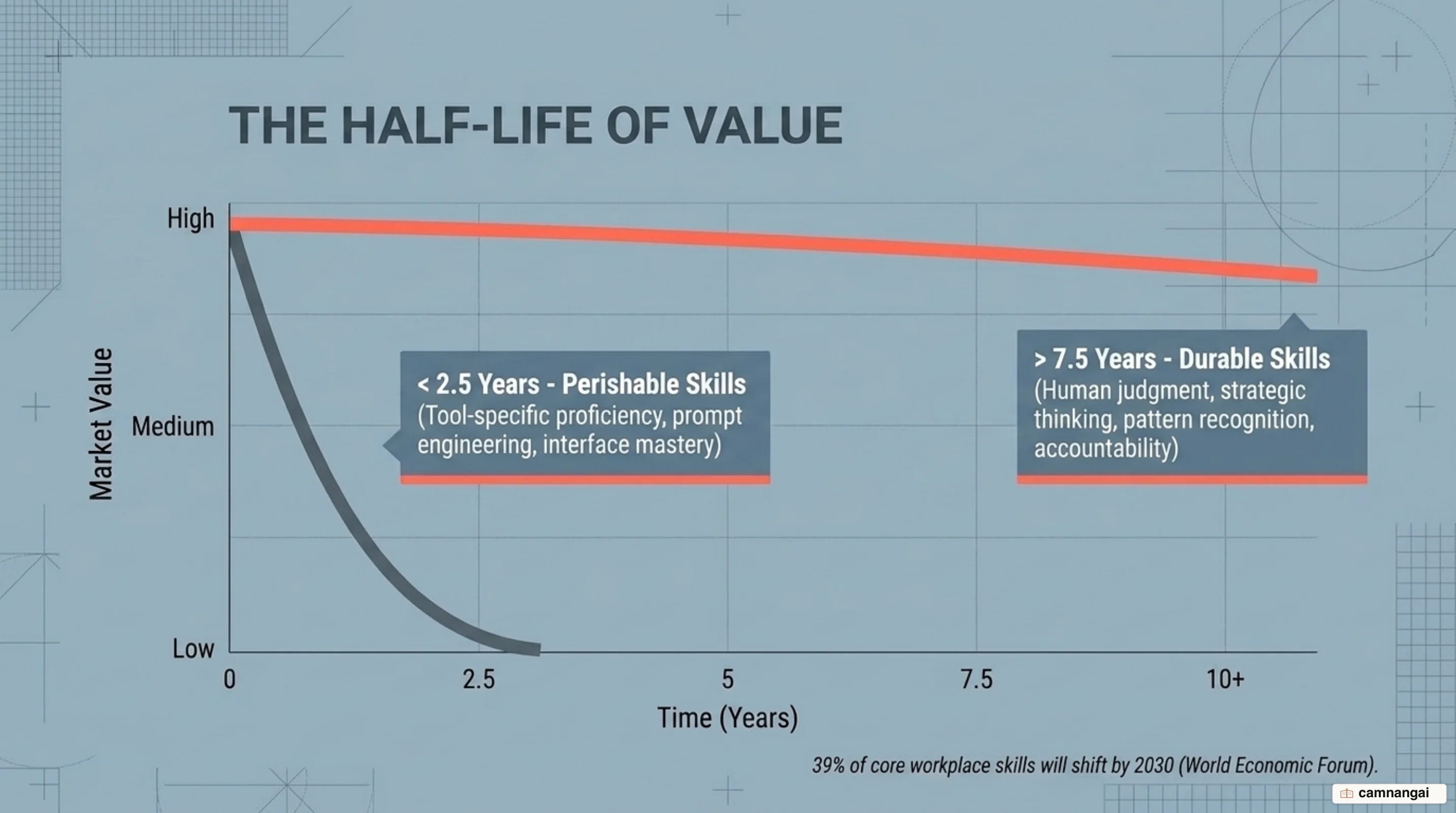 The half-life of skills: tool-specific skills last under 2.5 years, while durable skills like judgment last over 7.5 years