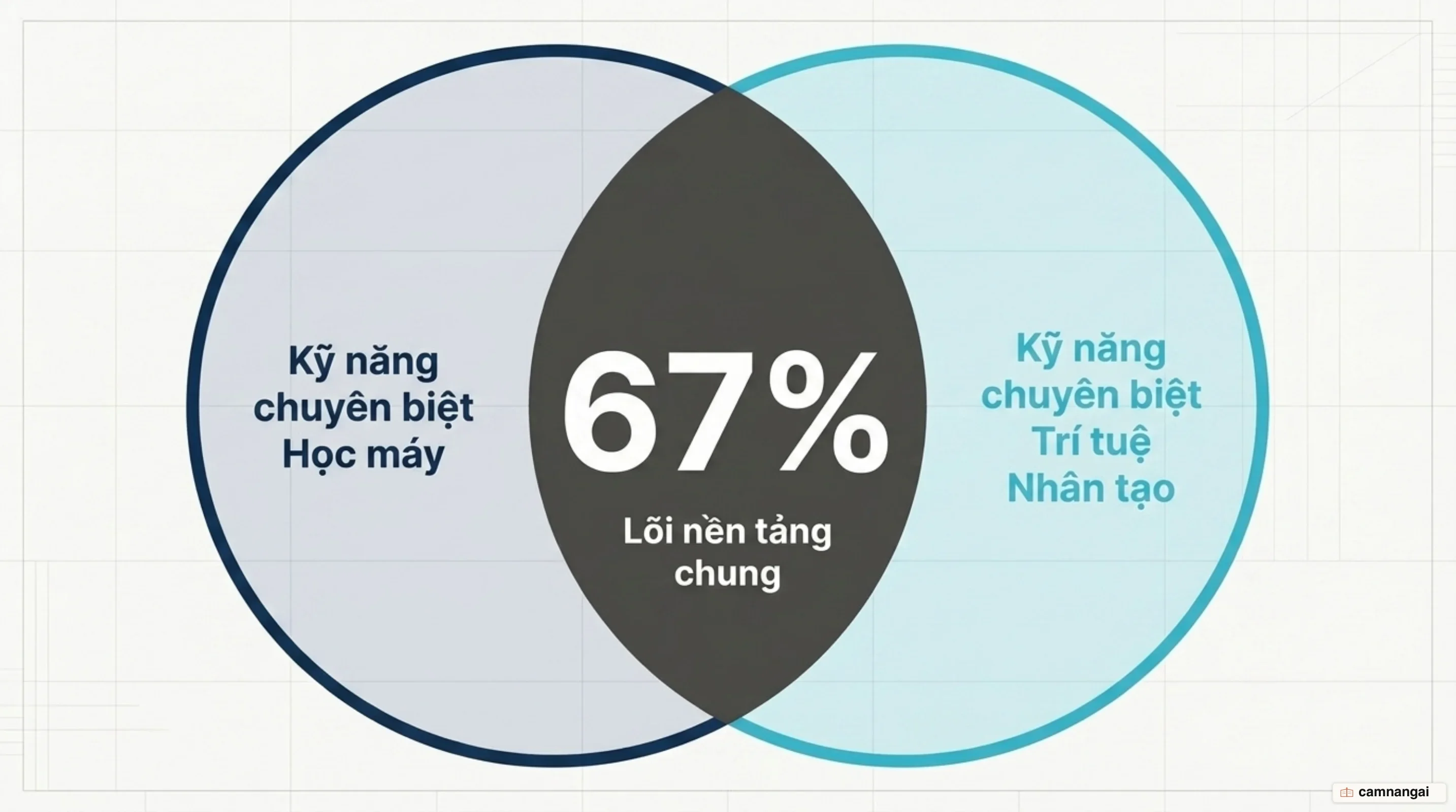 Hai bộ kỹ năng chồng lấn nhau 67%: phần lõi chung nằm giữa, phần kỹ năng riêng của mỗi vai trò nằm hai bên