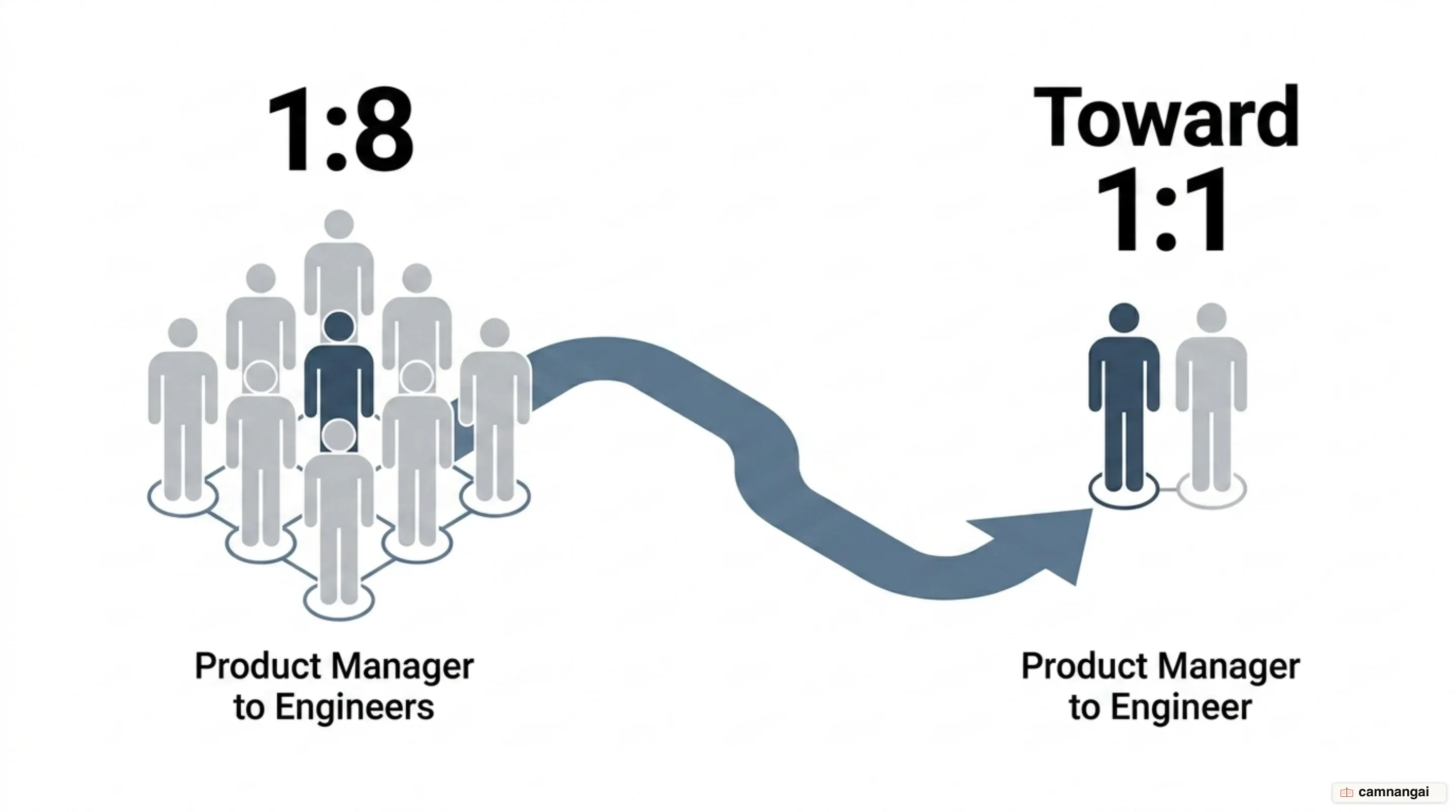 Team structure shifting from one product manager per eight engineers toward a 1:1 ratio