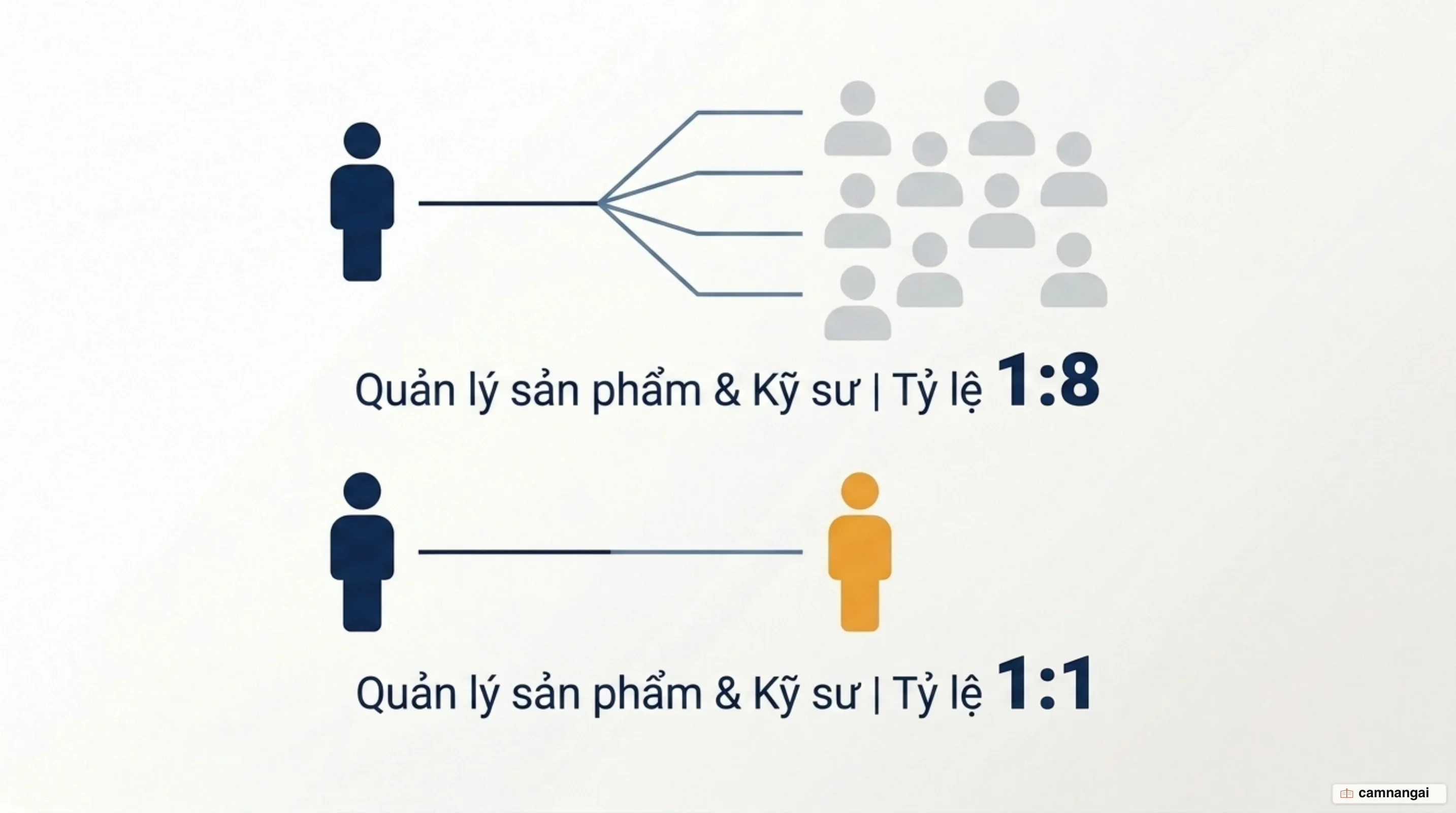 Cấu trúc đội ngũ chuyển từ tỷ lệ 1 quản lý sản phẩm trên 8 kỹ sư sang mô hình 1:1
