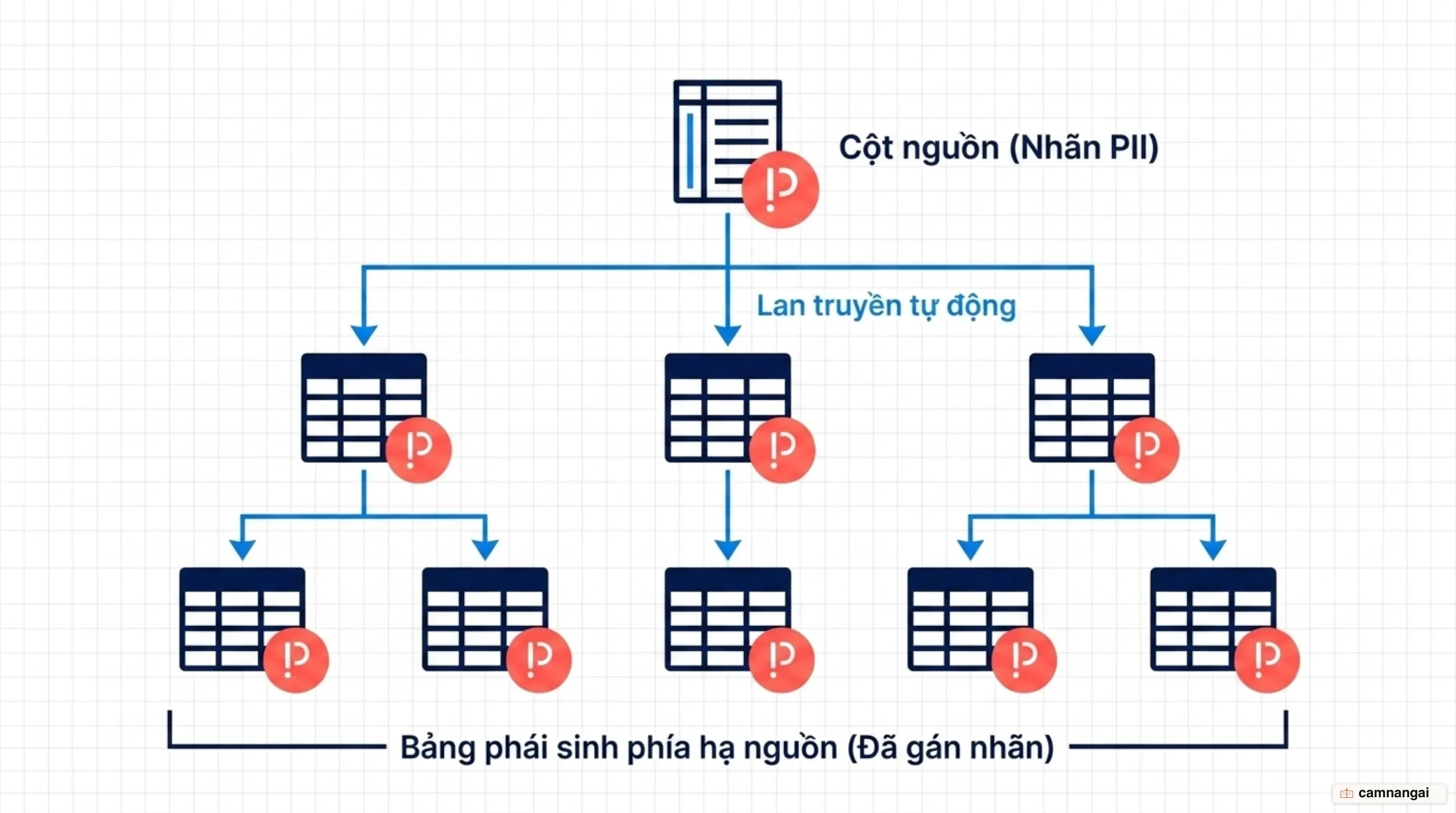 Nhãn dữ liệu nhạy cảm PII lan truyền từ cột nguồn xuống mọi bảng phái sinh phía hạ nguồn