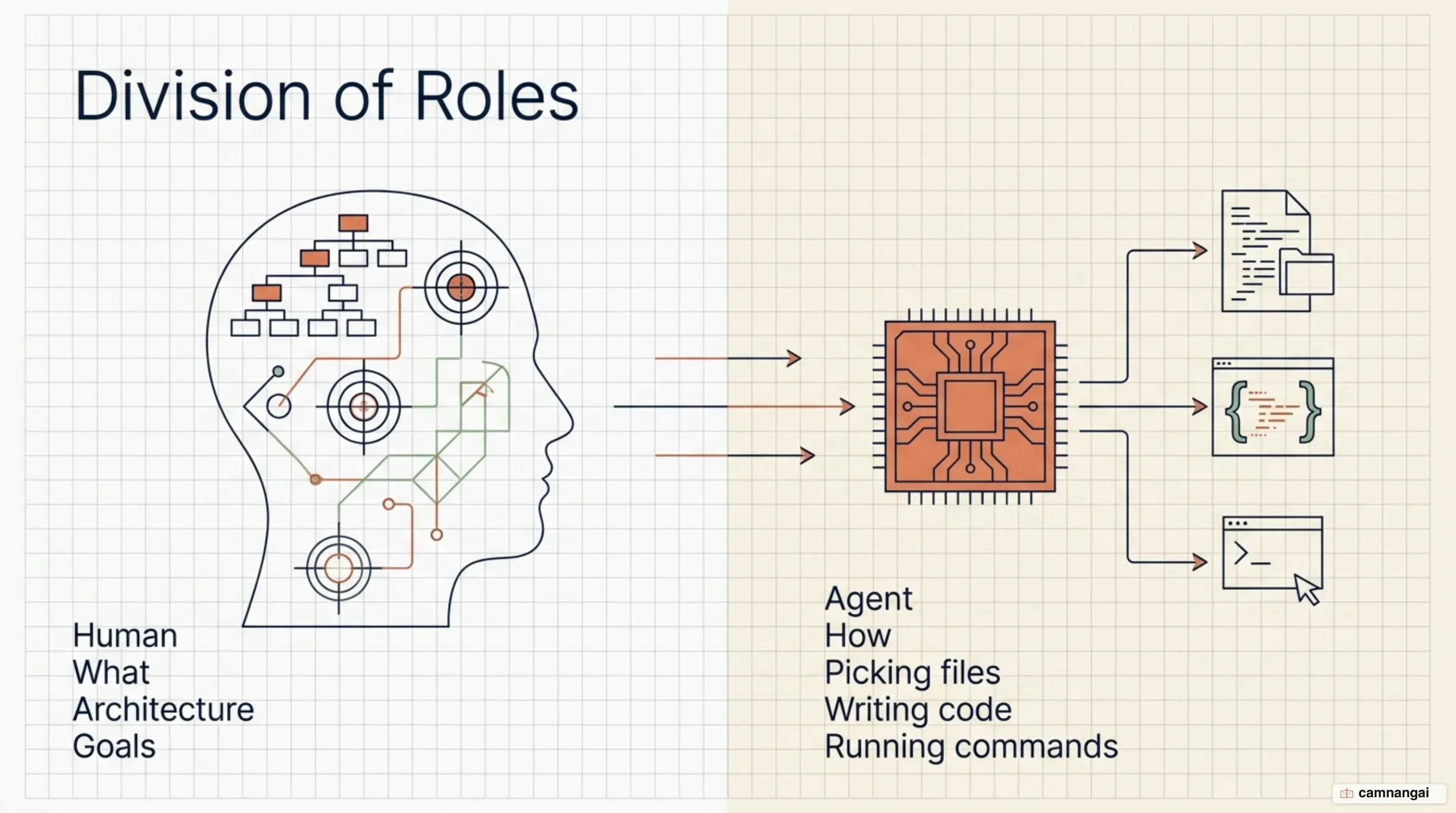 Diagram of the split: the human decides what to build, Claude decides how