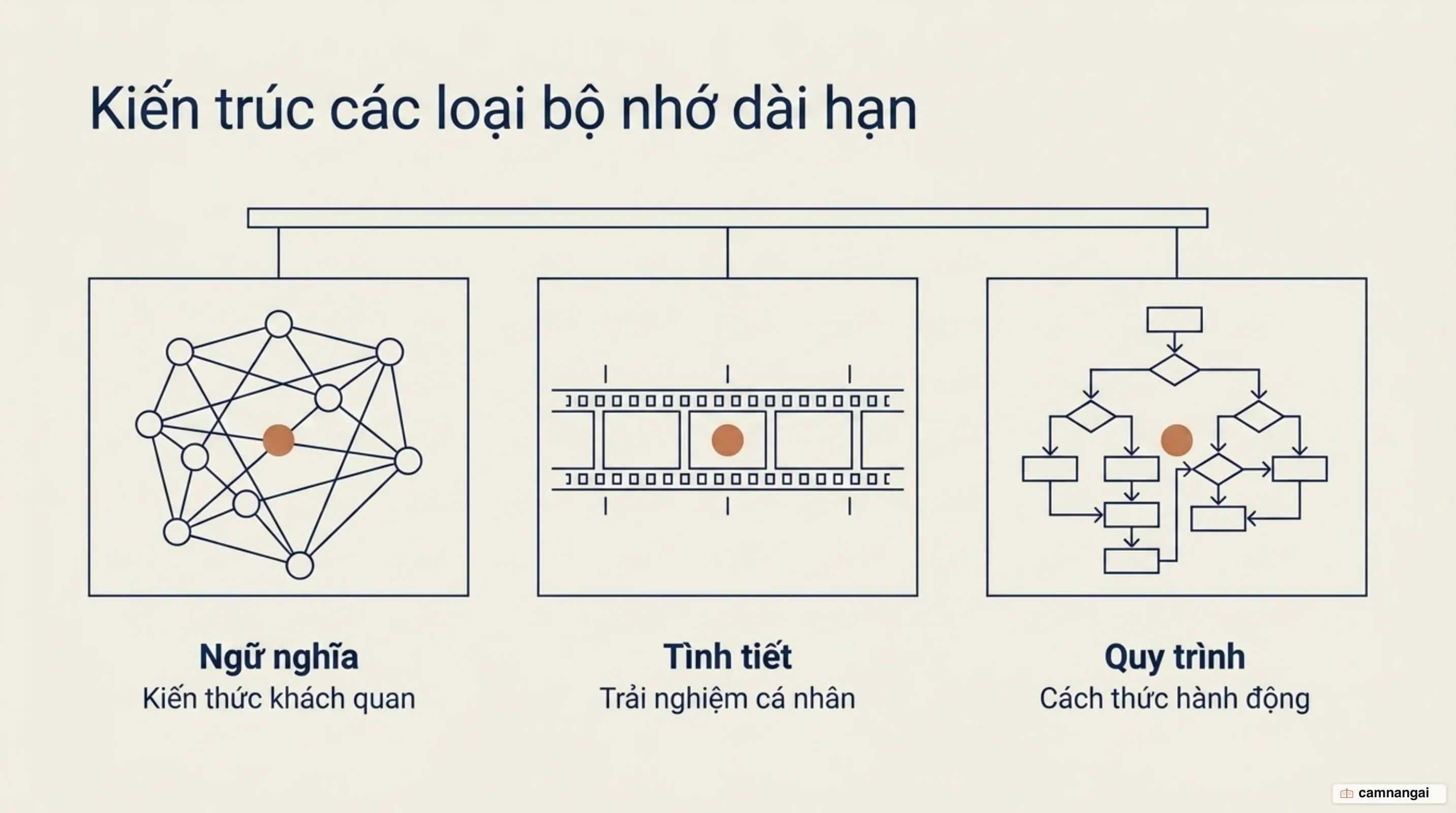 Ba loại bộ nhớ dài hạn đặt cạnh nhau: bộ nhớ ngữ nghĩa lưu sự kiện, bộ nhớ tình tiết lưu trải nghiệm, bộ nhớ quy trình lưu cách làm