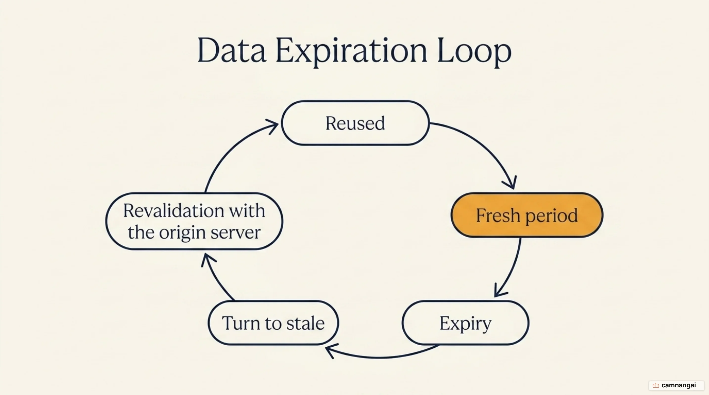 The freshness lifecycle of cached data: the fresh period, the turn to stale at expiry, then revalidation with the origin server so it can be reused