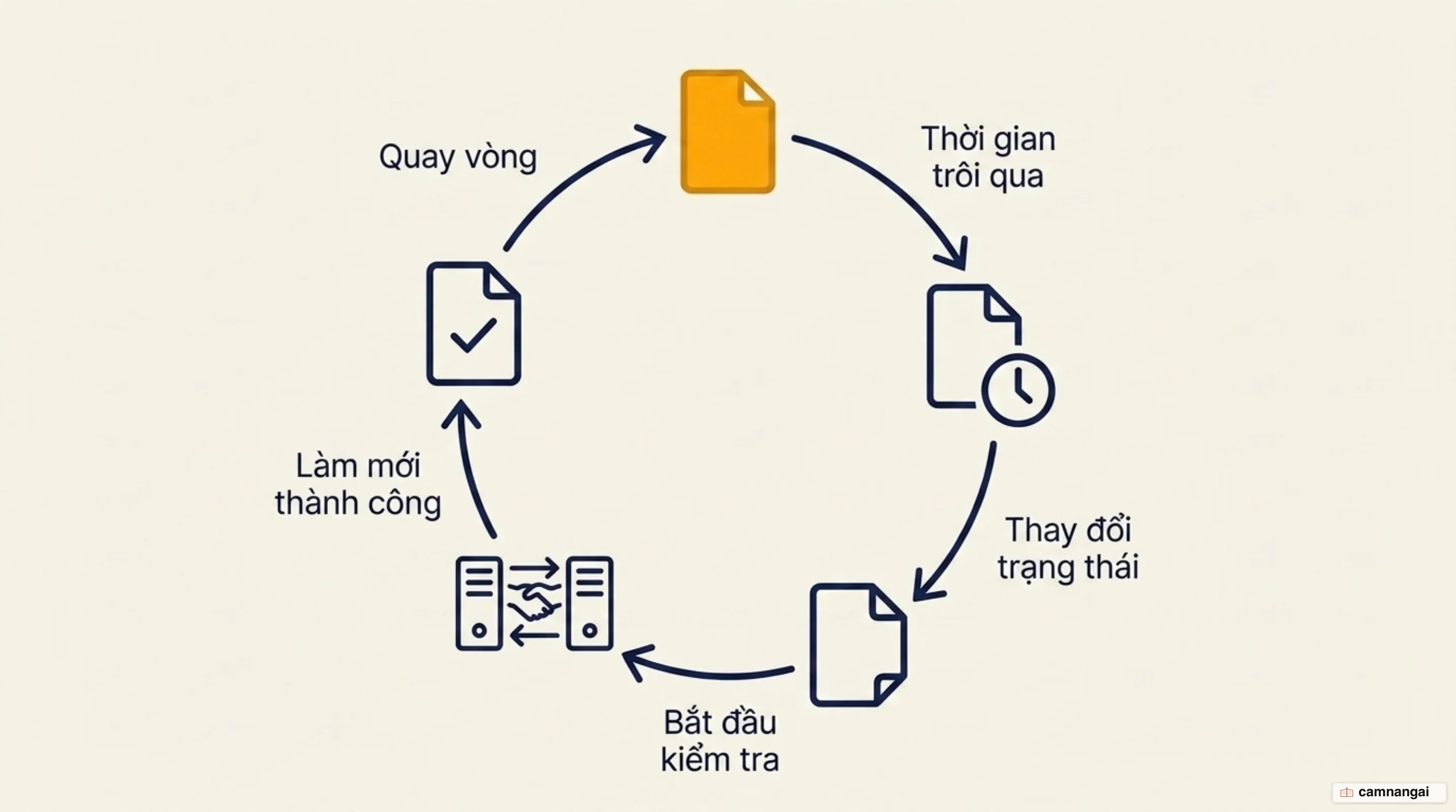 Vòng đời độ tươi của dữ liệu trong cache: giai đoạn fresh, chuyển sang stale khi hết hạn, rồi xác thực lại với máy chủ gốc để được dùng tiếp