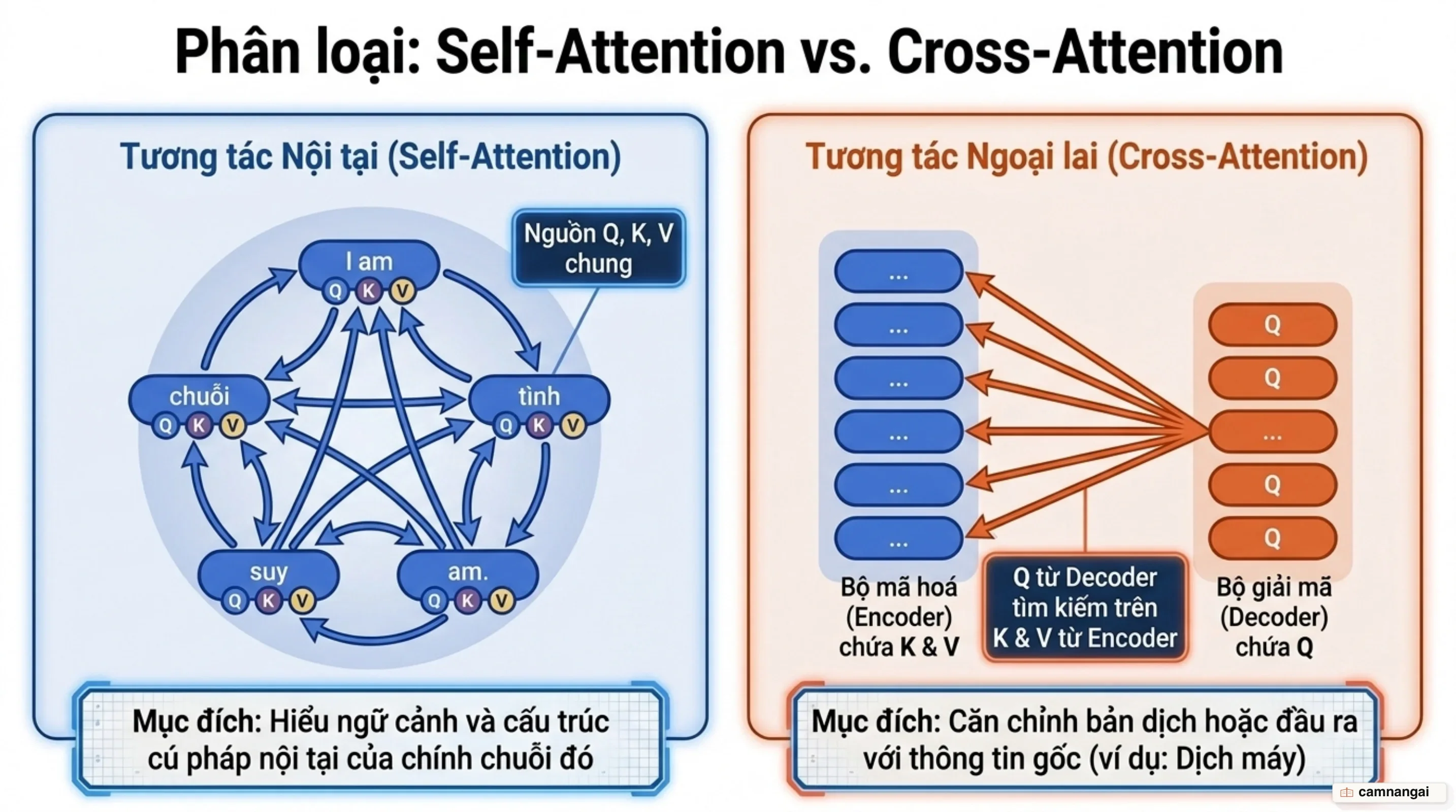 So sánh cơ chế Self-Attention trong cùng một chuỗi và Cross-Attention giữa Encoder và Decoder