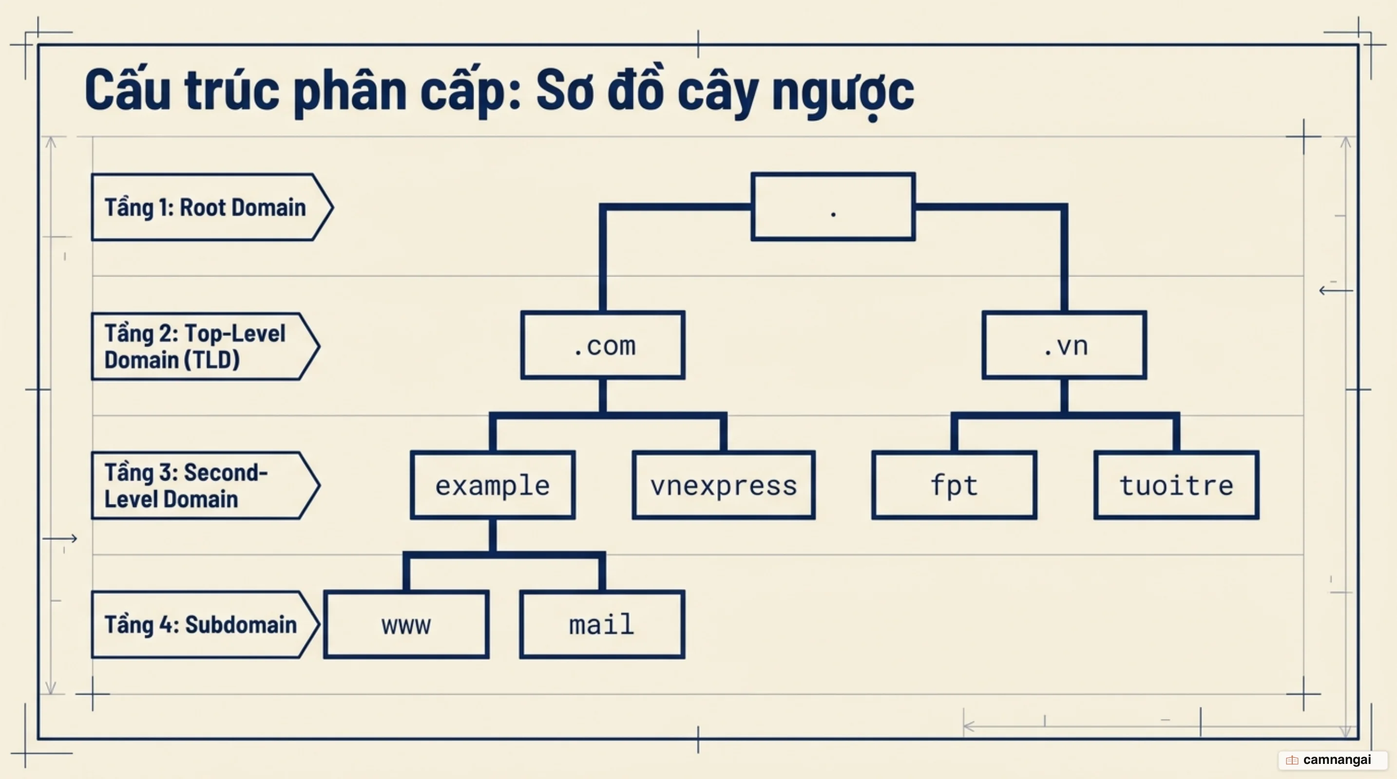 Cấu trúc phân cấp tên miền dạng cây ngược: Root, TLD, Second-Level Domain và Subdomain