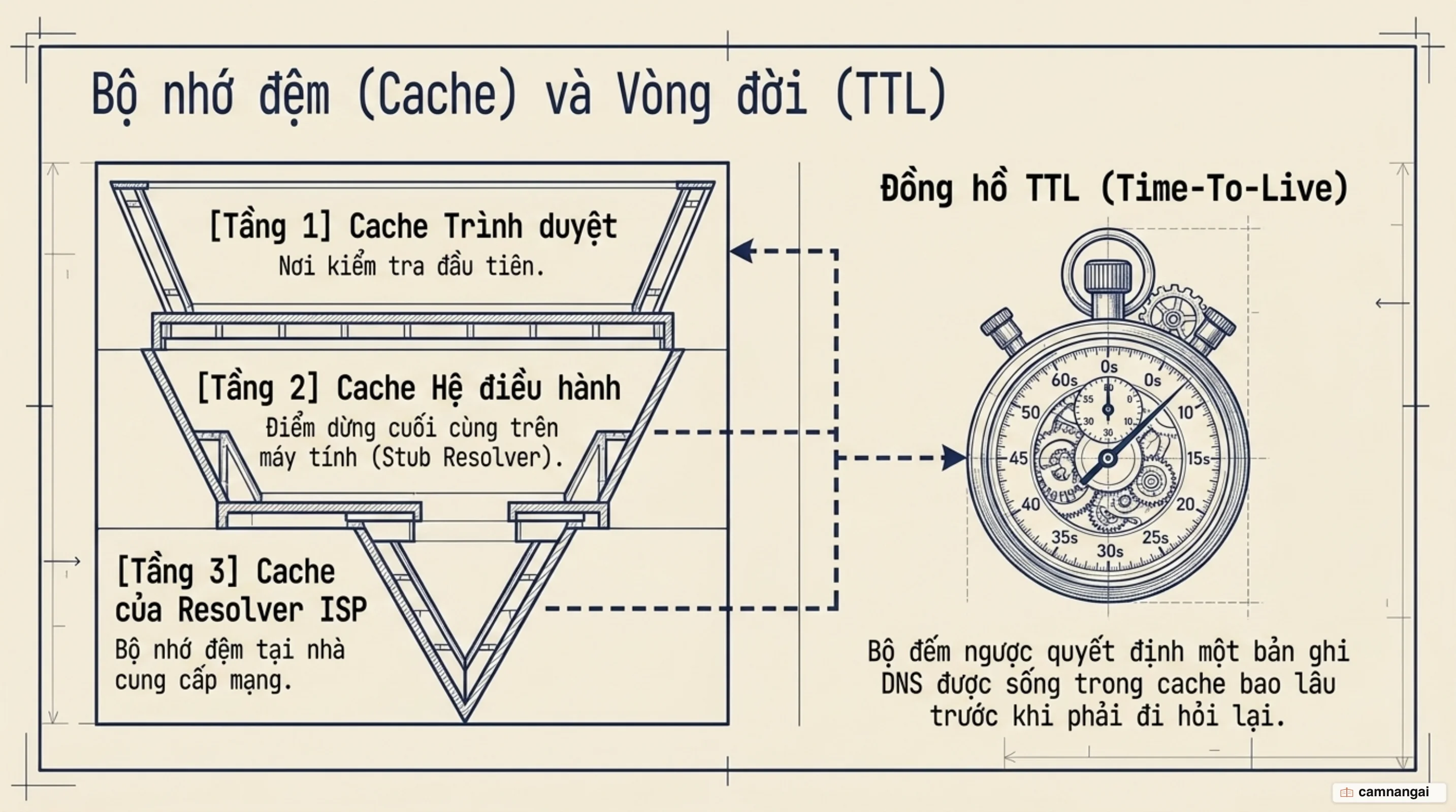 Các tầng cache DNS — trình duyệt, hệ điều hành và Resolver của ISP — cùng đồng hồ TTL đếm ngược