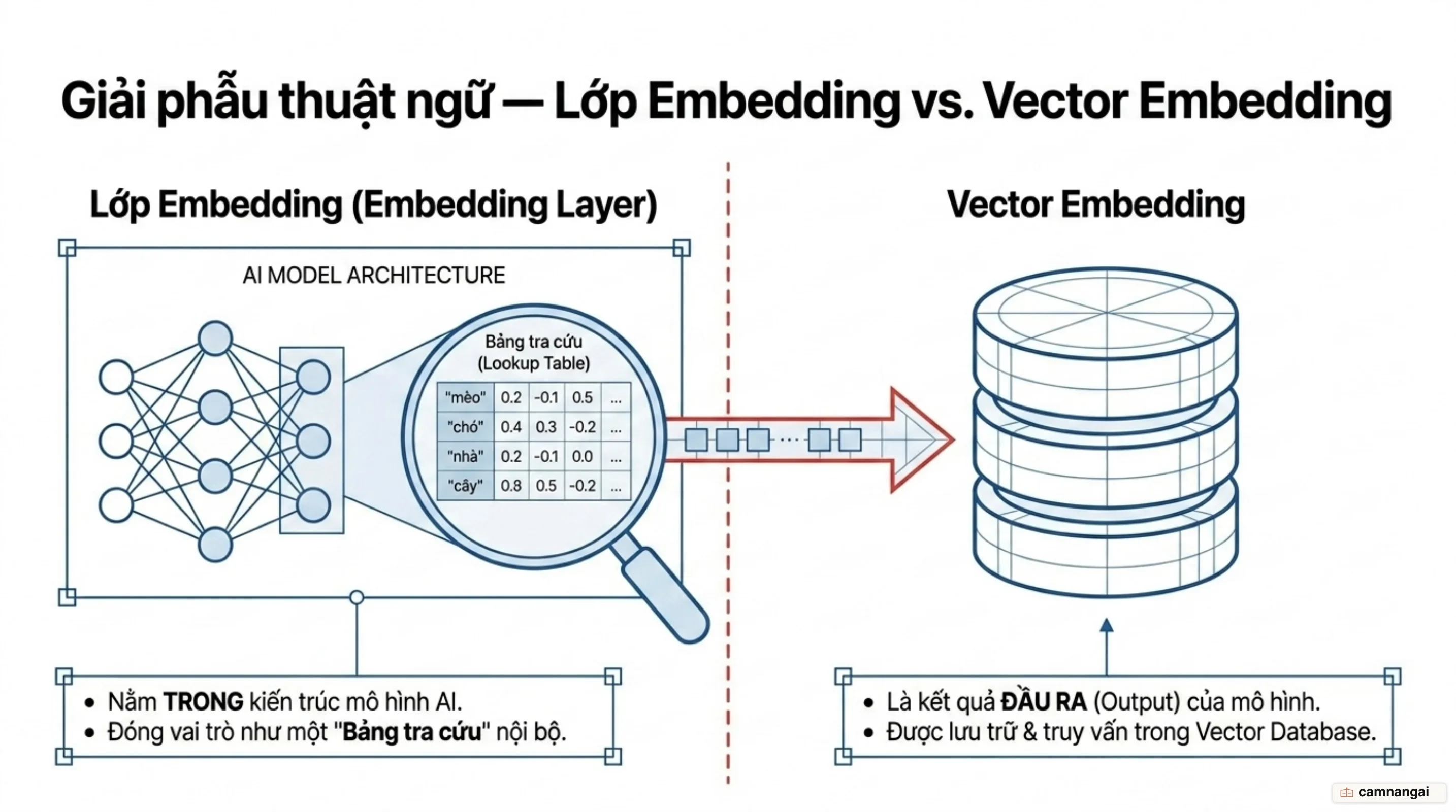 Phân biệt lớp Embedding nằm bên trong mô hình và vector embedding là kết quả đầu ra được lưu vào vector database