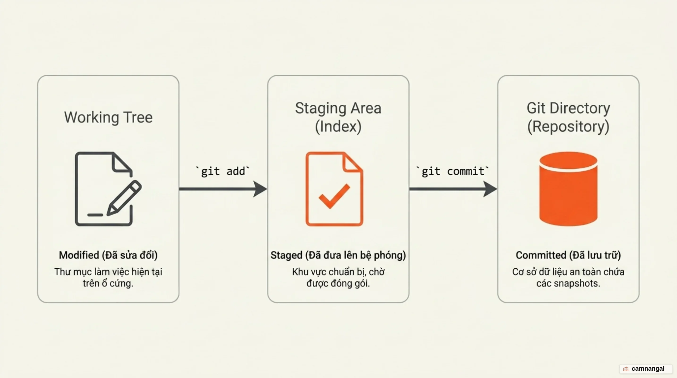 Dòng chảy của một tệp qua ba khu vực Working Tree, Staging Area và Git Directory, tương ứng ba trạng thái Modified, Staged và Committed
