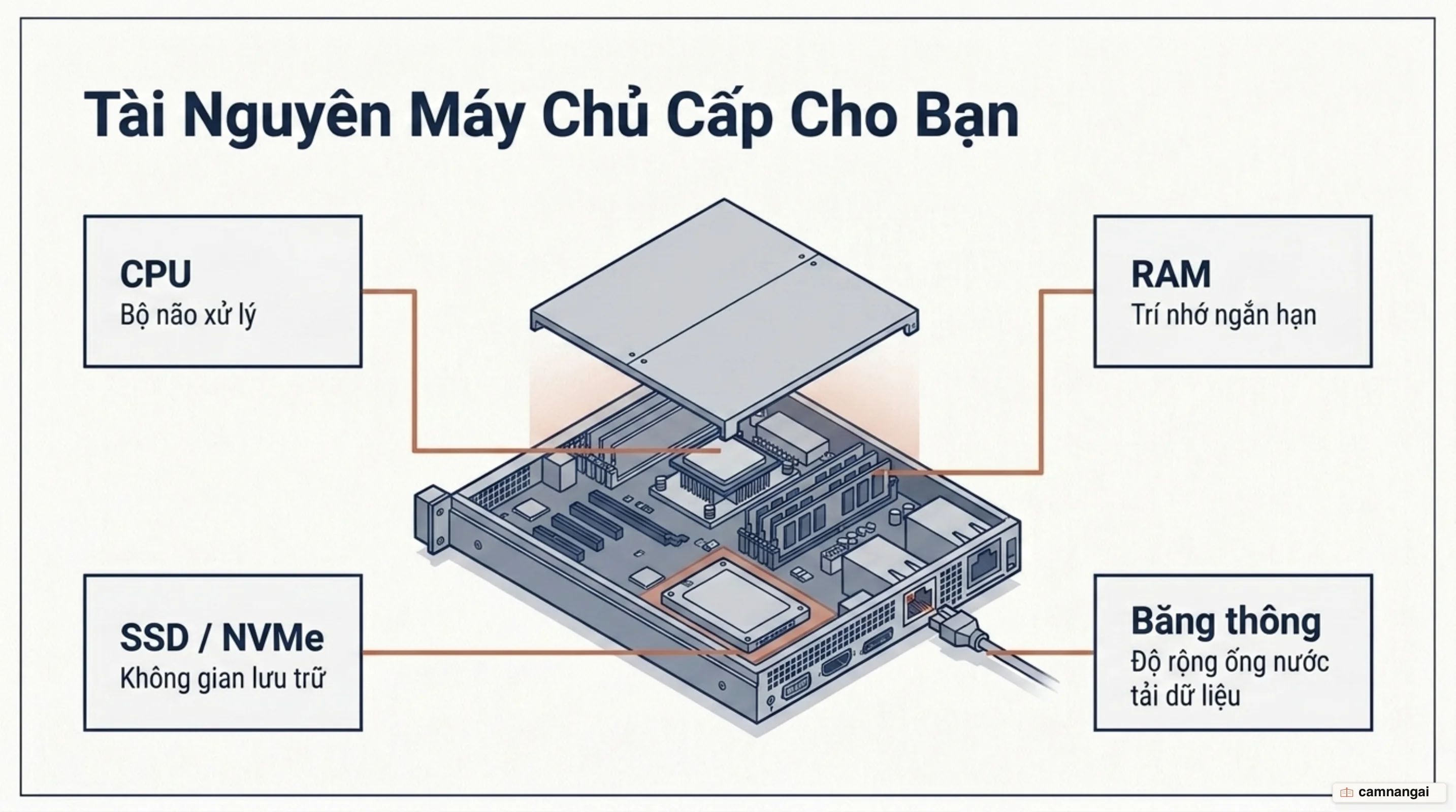 Các tài nguyên máy chủ cấp cho một gói hosting: CPU, RAM, ổ cứng SSD hoặc NVMe và băng thông