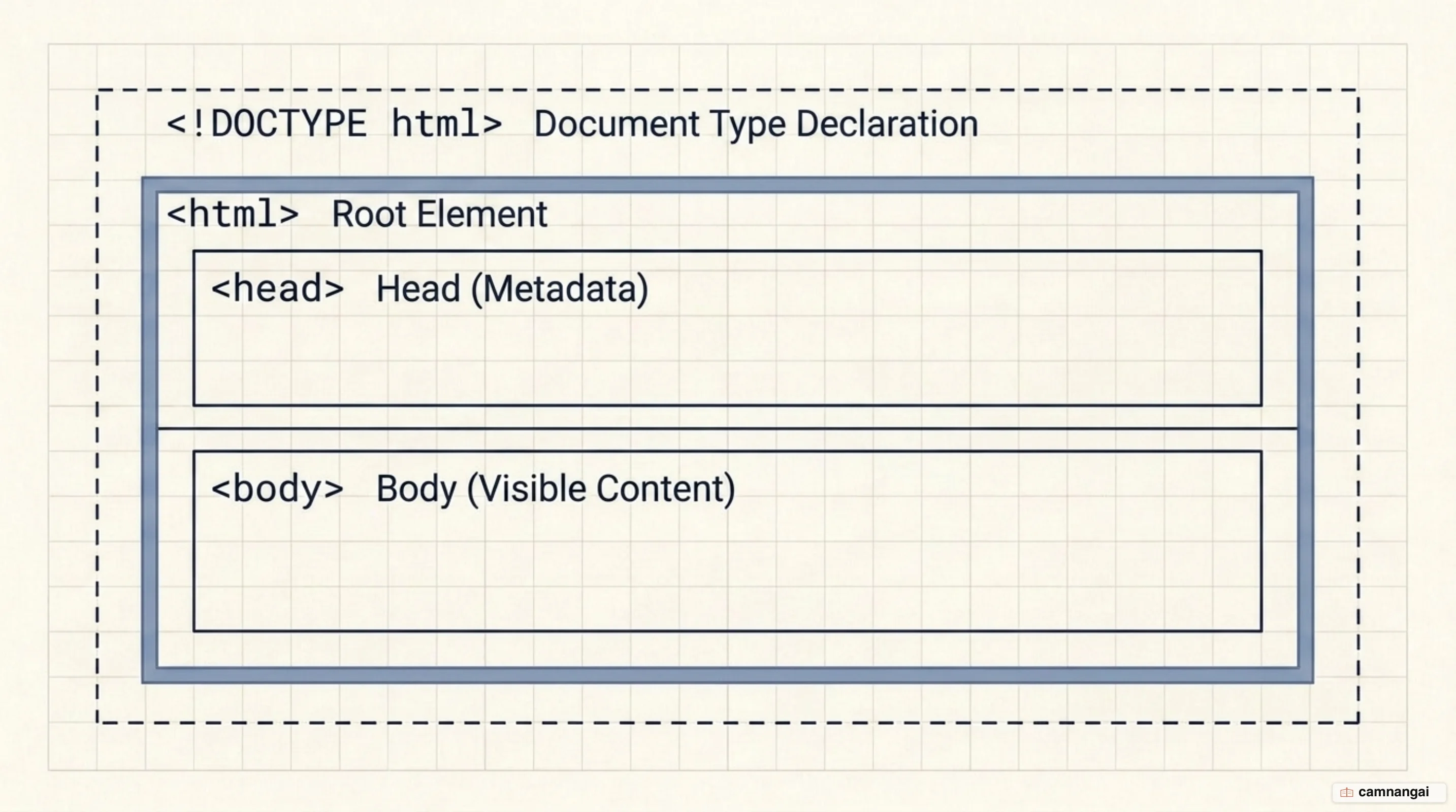 The nesting structure of an HTML document: the DOCTYPE declaration, the html root, and the split into head and body
