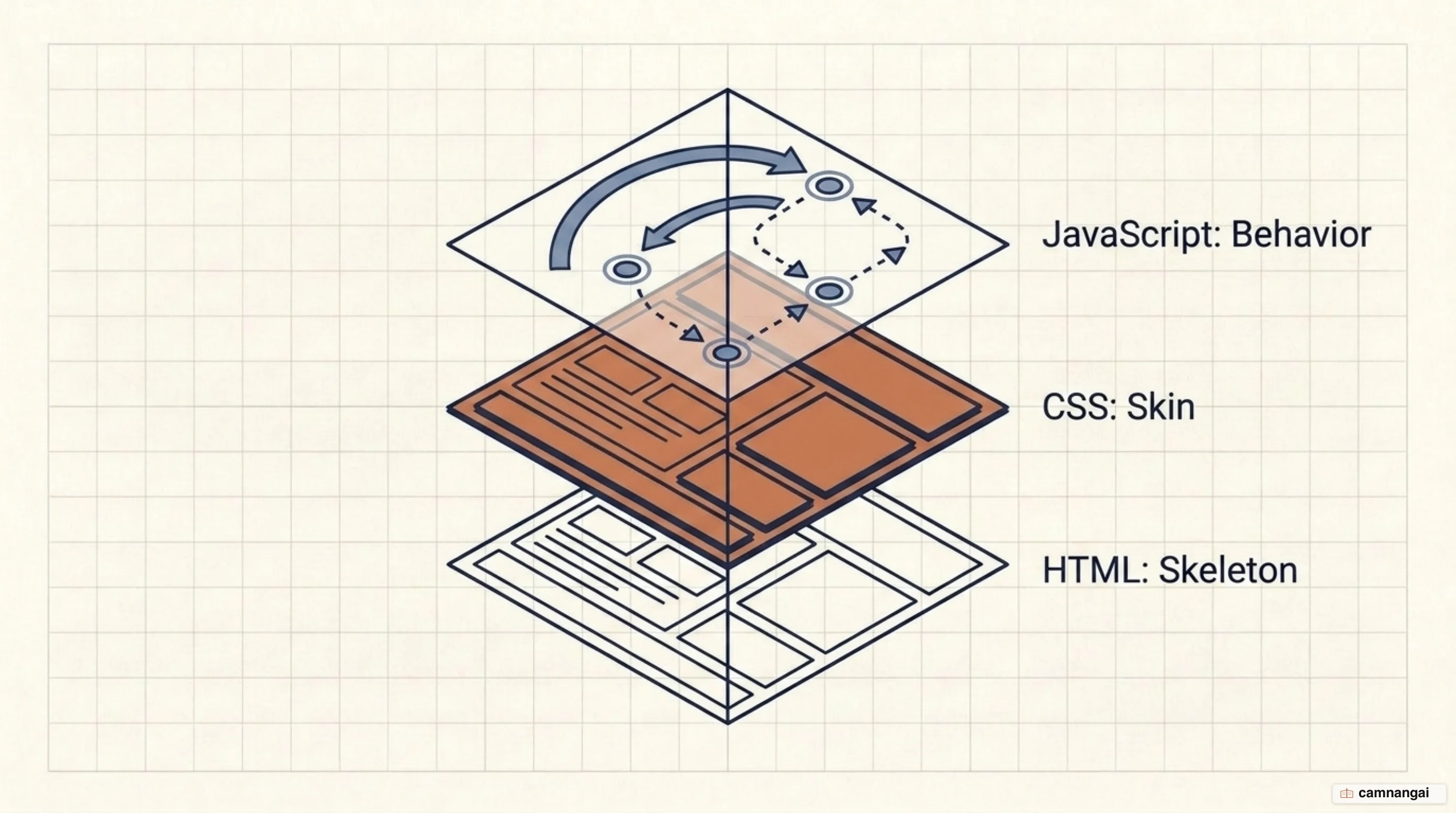 The three layers of a web page: HTML as the skeleton, CSS as the skin and clothing, JavaScript as the behavior