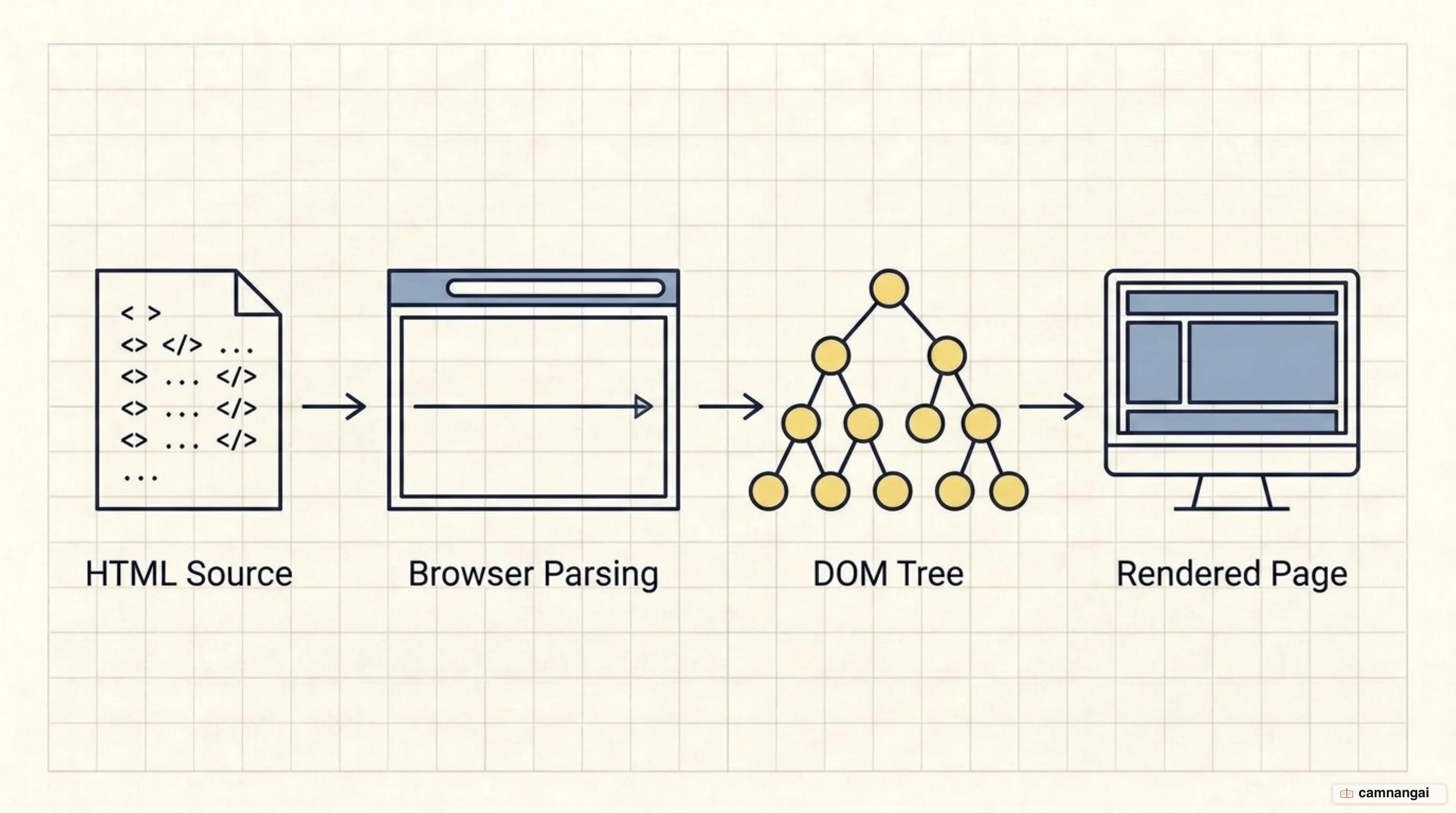 The path from HTML source through parsing, into the DOM tree, and out to the rendered page on screen