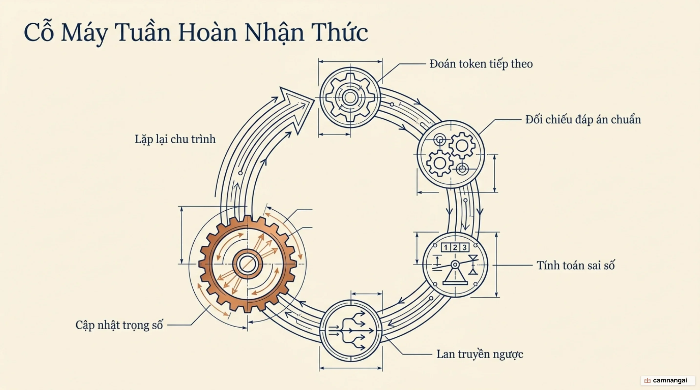 Vòng lặp huấn luyện: mô hình đoán token tiếp theo, so với đáp án đúng, tính sai số, lan truyền ngược rồi cập nhật trọng số