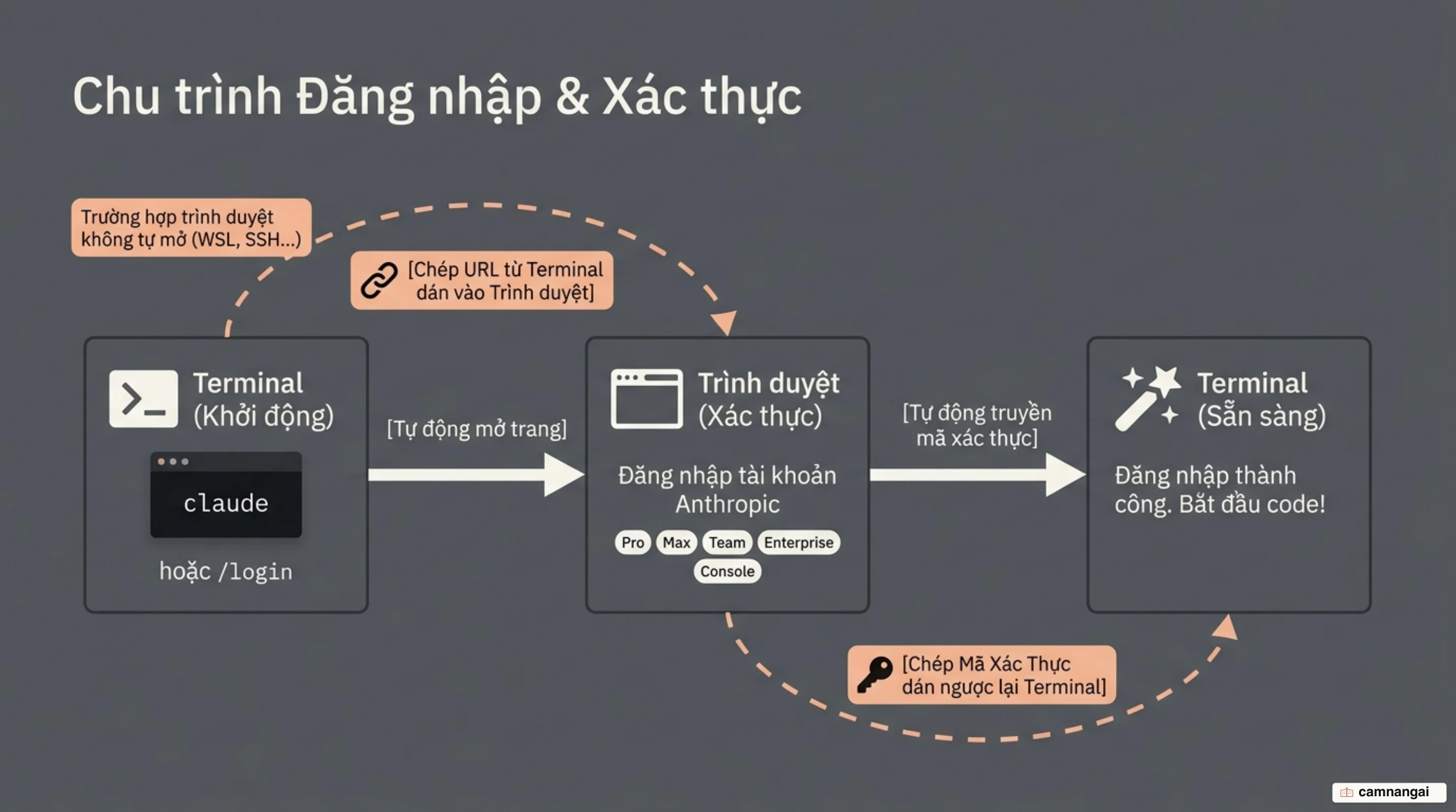 Ba chặng của quá trình đăng nhập: terminal chạy lệnh claude, trình duyệt mở trang xác thực, rồi mã xác thực quay ngược về terminal khi trình duyệt không tự mở