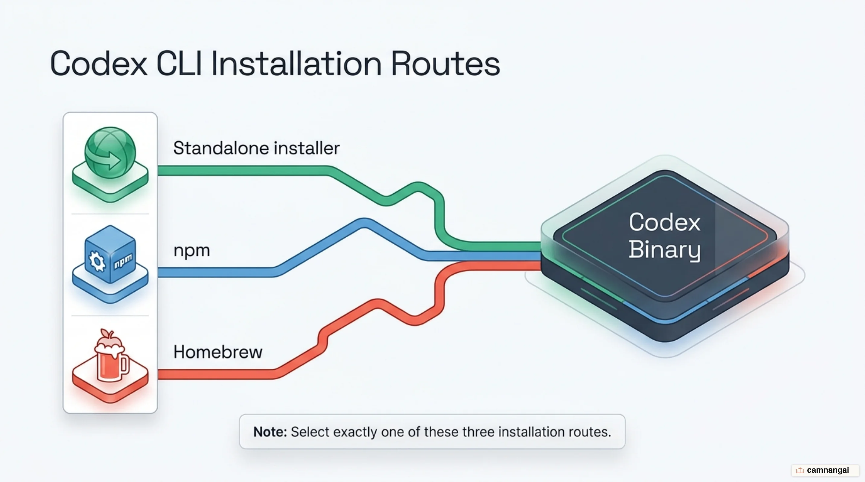 Three install routes to Codex — standalone installer, npm, and Homebrew — converging on a single binary