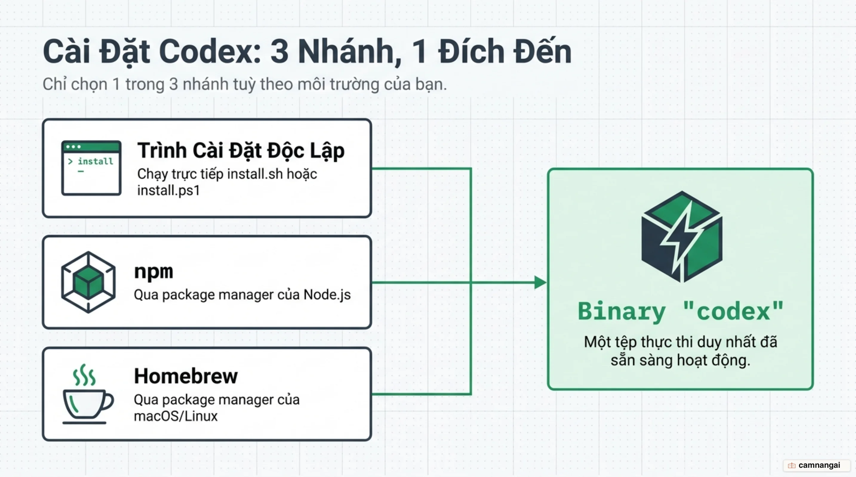Ba cách cài đặt Codex — trình cài đặt độc lập, npm và Homebrew — cùng dẫn tới một binary duy nhất