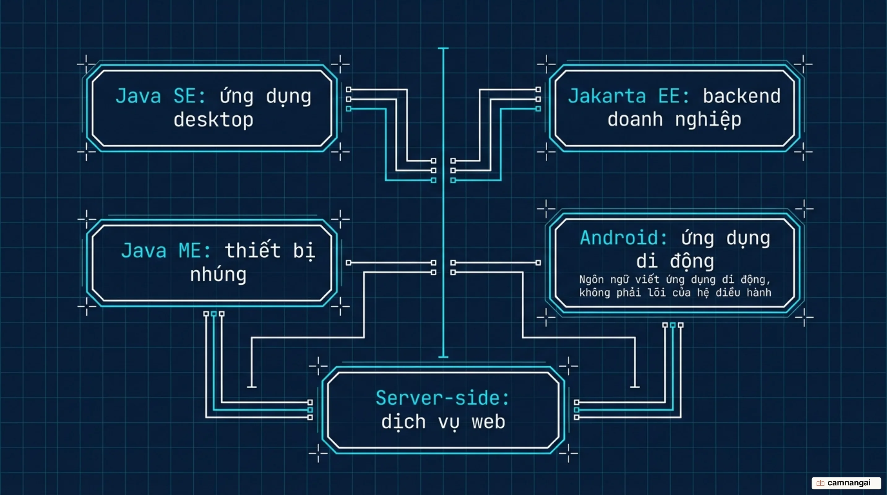 Các mảng Java phục vụ: Java SE, Jakarta EE, Java ME, Android và server-side