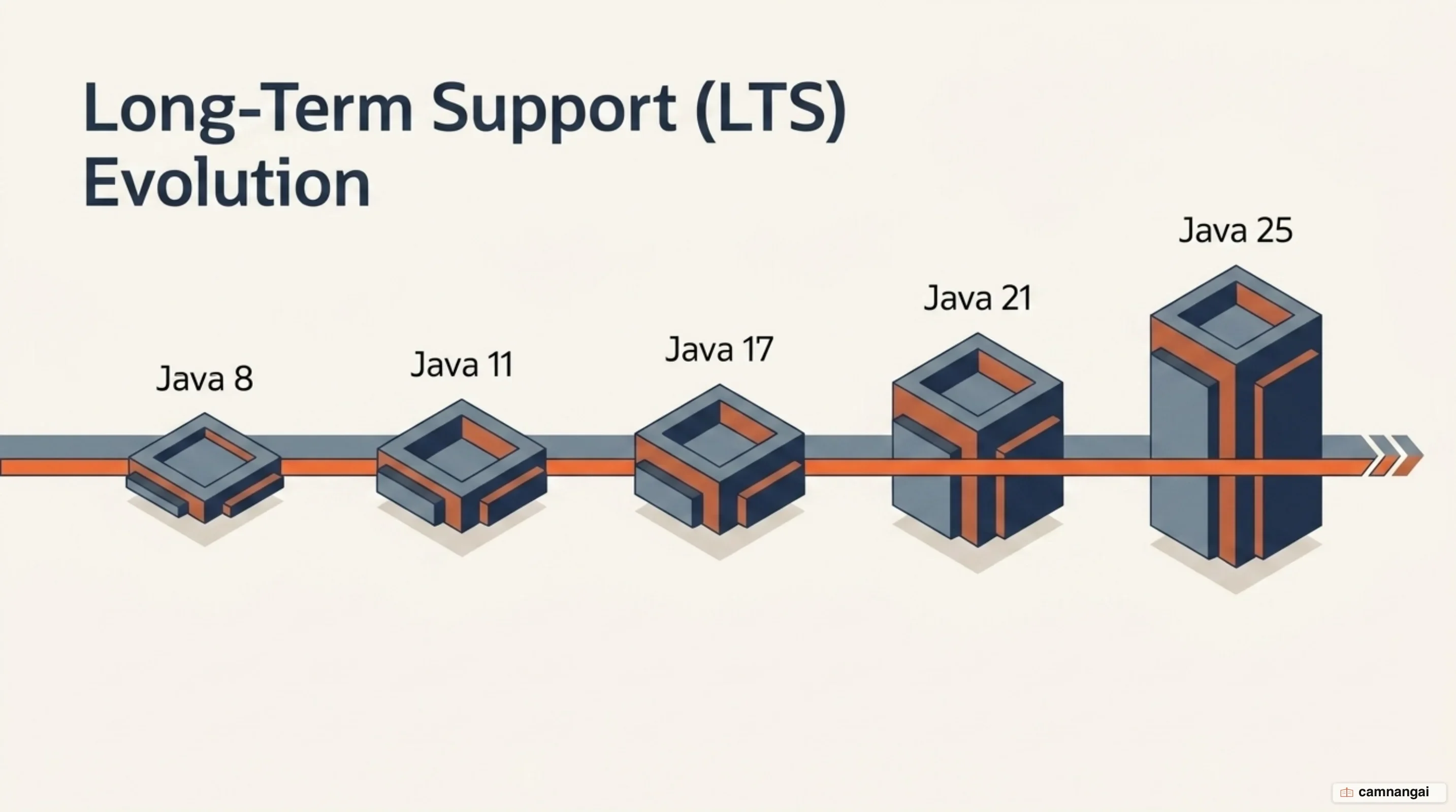 Timeline of the Java long-term support releases: Java 8, Java 11, Java 17, Java 21 and Java 25